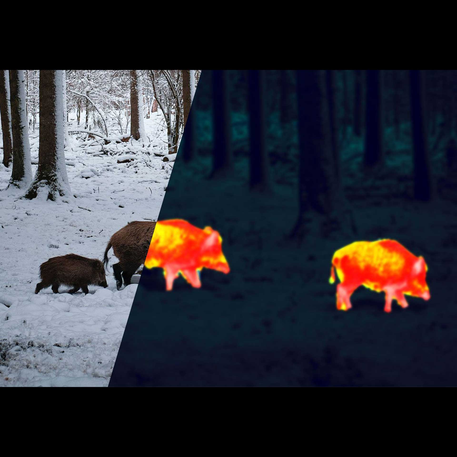 Alpen Apex 35 mm Wärmebild-Monokular